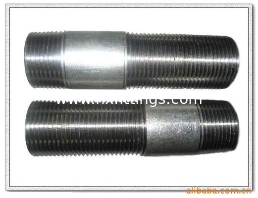 চীন গ্যালভানাইজড লম্বা স্ক্রু থ্রেড বিএসপিটি/ডিন/এএস সরবরাহকারী