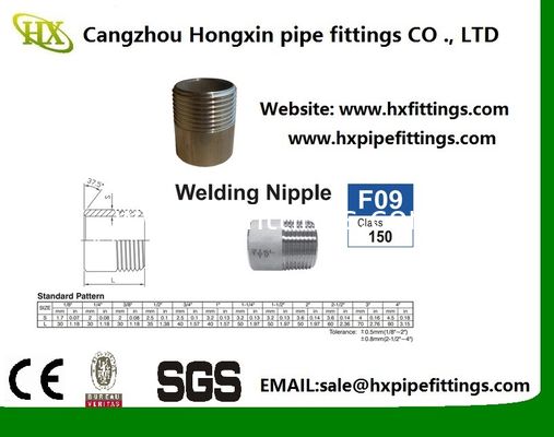 কম দাম, উচ্চ মানের মহিলা/পুরুষ স্টেইনলেস স্টীল পাইপ স্তনবৃন্ত সরবরাহকারী